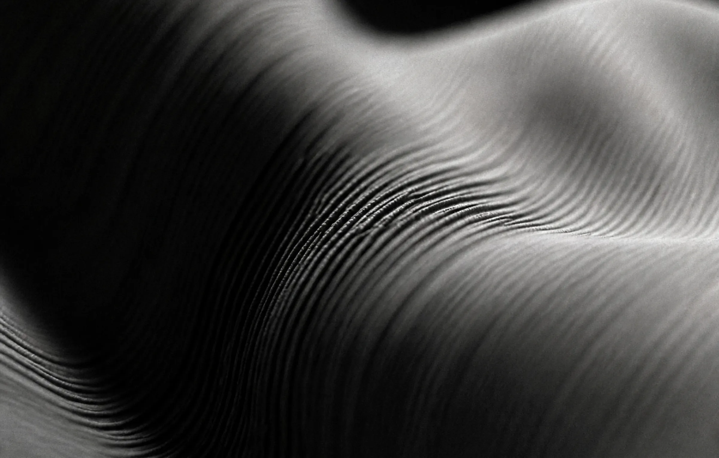 Softly folded fabric in a dark setting